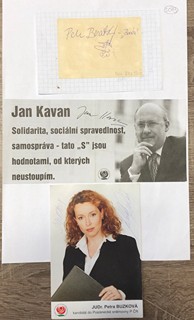 Kavan Jan, Brašský Petr, Buzková Petra
