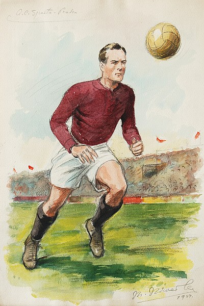 Marcel Niederle
