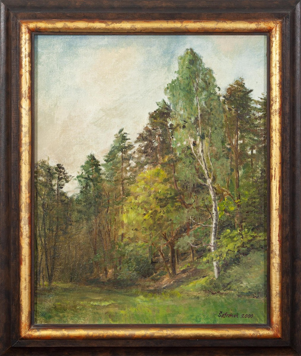 Šafránek Pavel - Les u Pňovic
