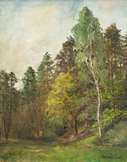 Šafránek Pavel - Les u Pňovic