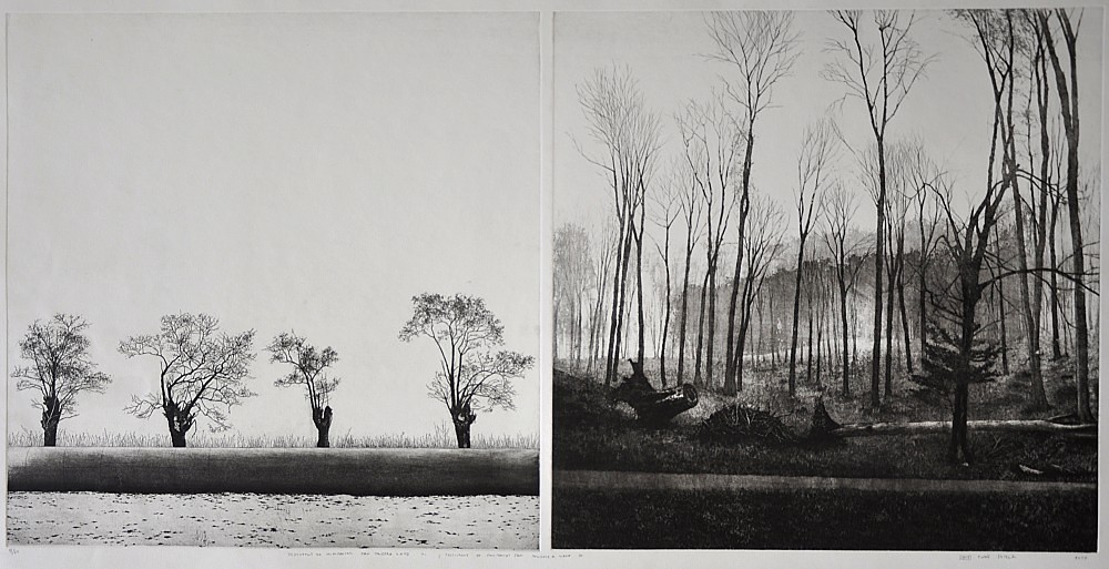 Tomáš Žemla - Testimony of Minimalism - Man touched Land II a IV (diptych)