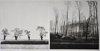 Tomáš Žemla - Testimony of Minimalism - Man touched Land II a IV (diptych)