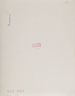 Bohumil Šťastný (1905-1991)