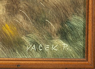 Vacek Pavel - Barvy podzimu