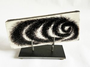Xénia Hoffmeisterová (1958) - Stín liščího ohonu