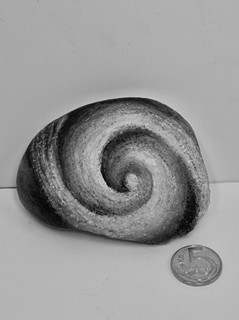 Josef Bavor - Spirála života