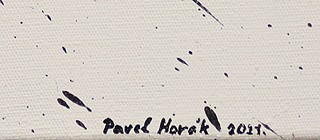 Pavel Horák - Skvrna