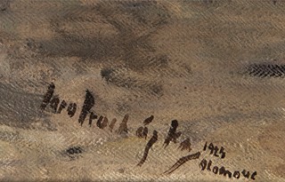 Jaro Procházka - Olomouc