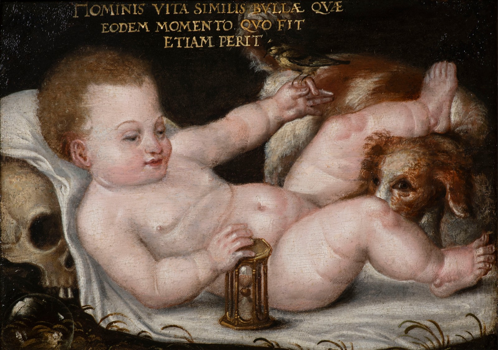 German Master  late 16th century
Homo Bulla – Allegory of Vanitas