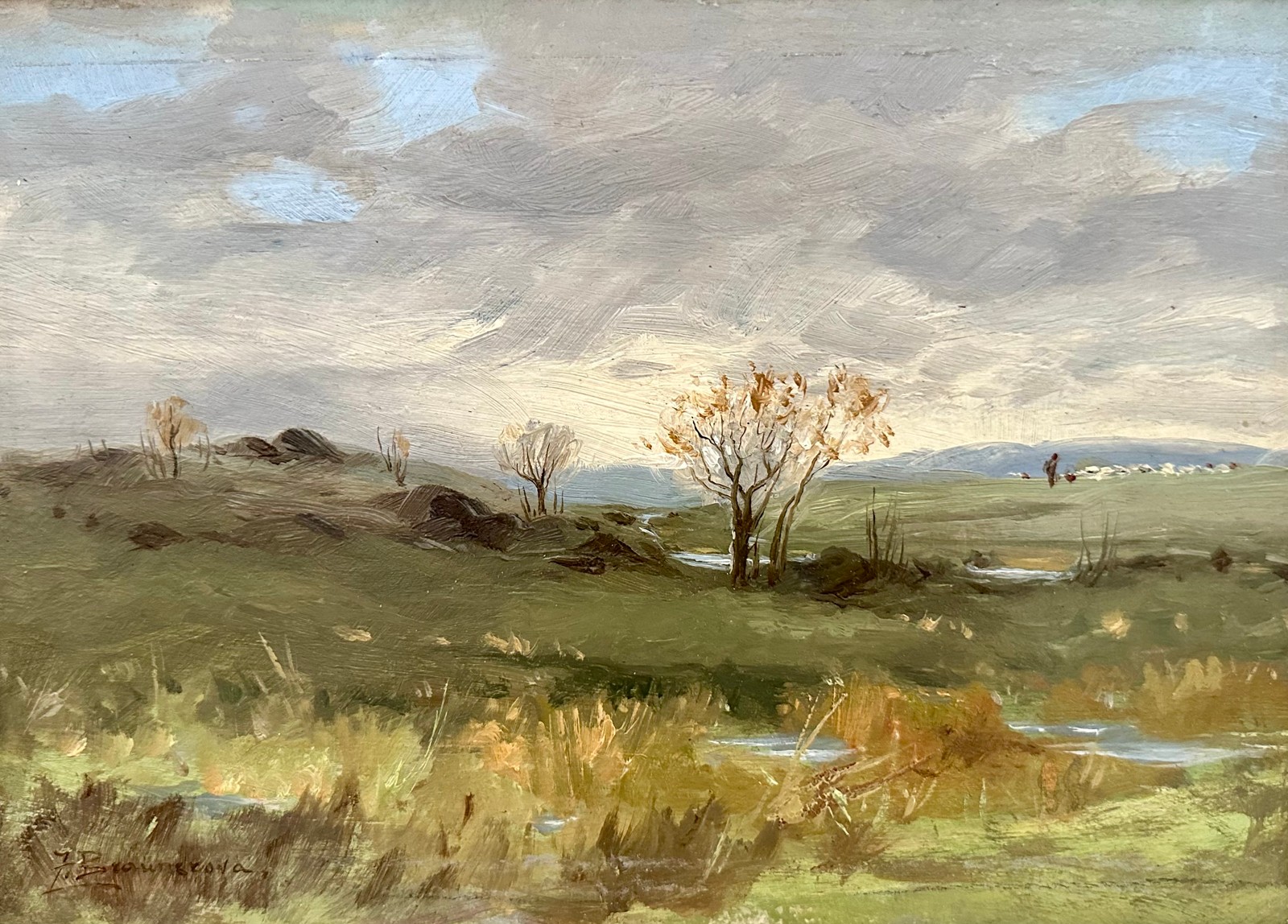 Zdenka Braunerová (1858 - 1934) - Mokřiny u Roztok