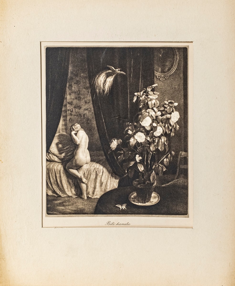 Max Švabinský (1873–1962) - Bílá kamélie