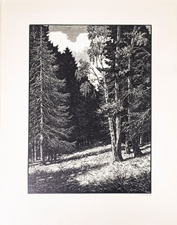 Josef Řeřicha (1872–1959) - Můj domov