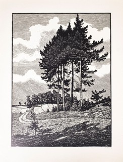 Josef Řeřicha (1872–1959) - Můj domov