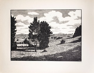 Josef Řeřicha (1872–1959) - Můj domov