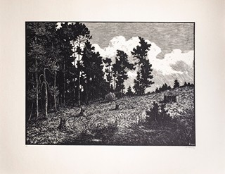 Josef Řeřicha (1872–1959) - Můj domov