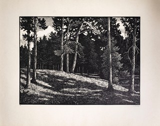 Josef Řeřicha (1872–1959) - Můj domov