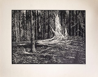 Josef Řeřicha (1872–1959) - Můj domov
