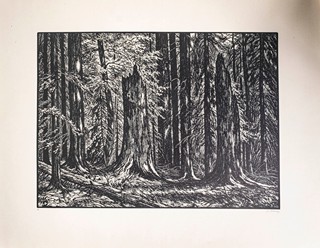 Josef Řeřicha (1872–1959) - Můj domov