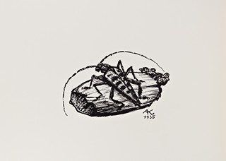 Alfréd Kubín (1877 - 1959) - Phantasien im Böhmerwald