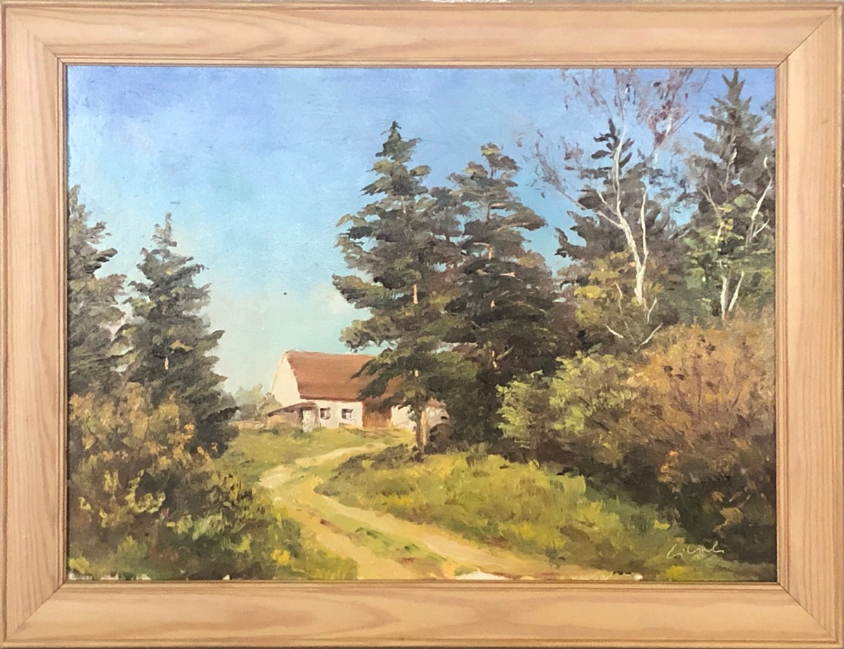 Ciboch Miroslav - Jaro na Šumavě