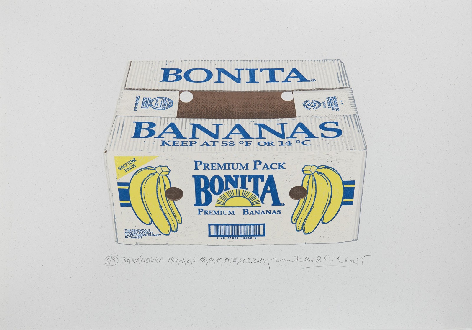 MICHAL CIHLÁŘ 1960 - BANÁNOVKA