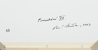 PAVEL BAŇKA 1941 - PRONIKÁNÍ VII.