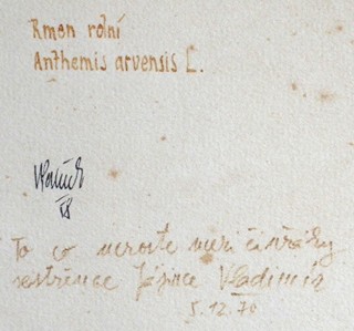 VLADIMÍR VÁCLAV PALEČEK (NAR. 1922) - RMEN ROLNÍ