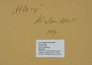 Kristián Kodet - HLAVY
