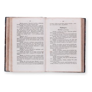 VIKTORIN, Josef (1839-1912): Lipa: národní zábavník II.