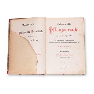 WILLKOMM, Moritz (1821-1895): Naturgeschichte des Pflanzenreichs