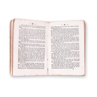 KRICKEL, Adalbert Joseph (1791-1847): Eisenbahn-Ausflüge von Wien