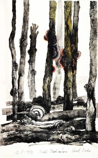 SIVKO Pavel (*1948) - Studie přírody