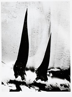 REICHMANN Vilém (1908-1991) (Ludvík Kundera) - Máchovská teritoria