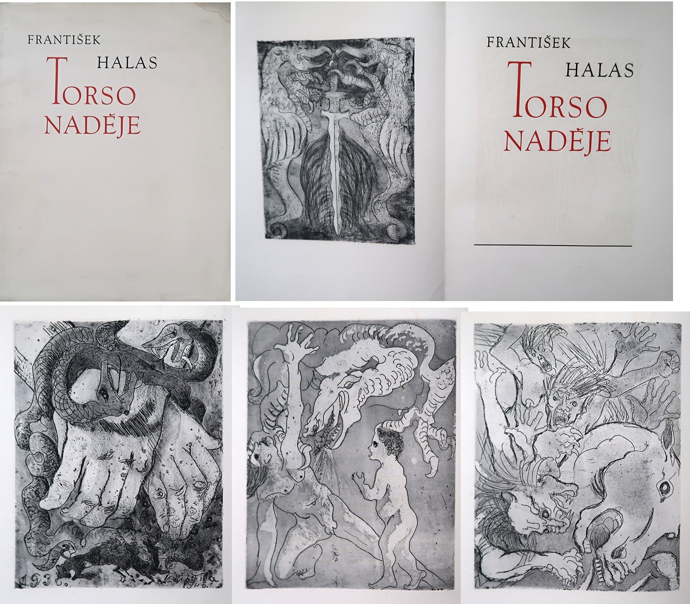 Bibliofilie - F. Halas, Torso naděje