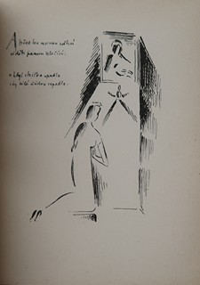 Bibliofilie - K.J. Erben, Svatební košile