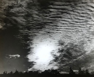Koutský Karel - Beránky