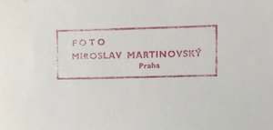Martinovský Miroslav - Zebry