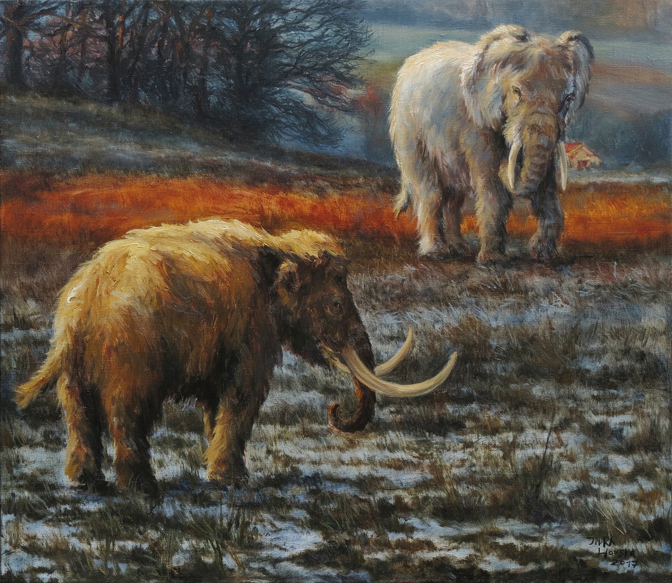 Jiří Houska - Bílý slon a trpasličí mamut
