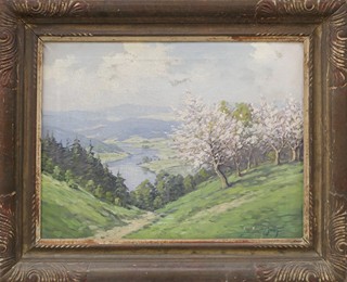Joža Brož - Pohled do údolí
