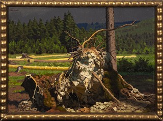 Malý Jan - V lese