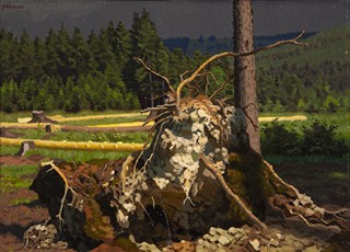 Malý Jan - V lese