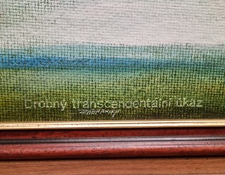 Zábranský Vlastimil - Drobný transcendentální úkaz
