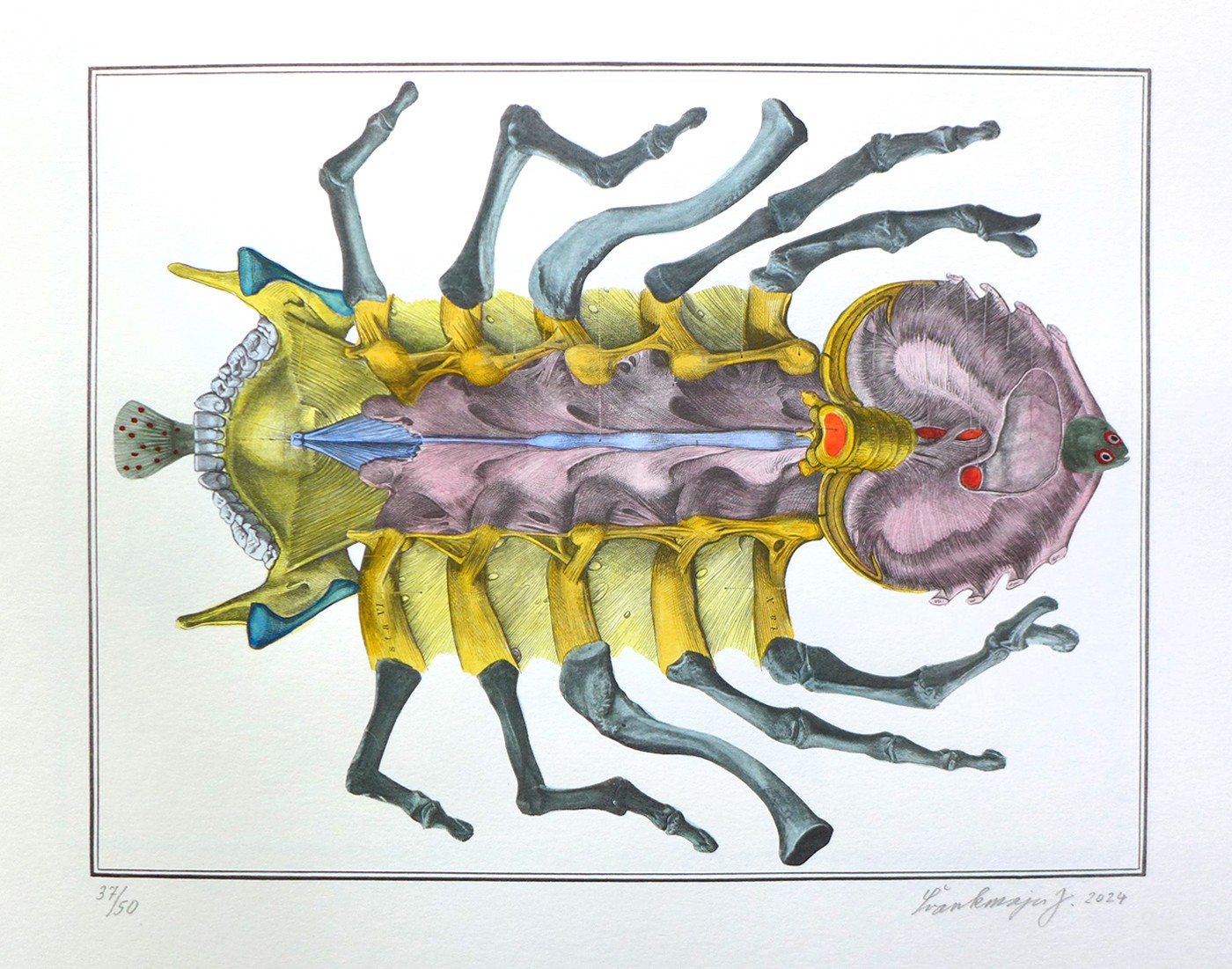 Jan Švankmajer (1934) - Zoologie č.9