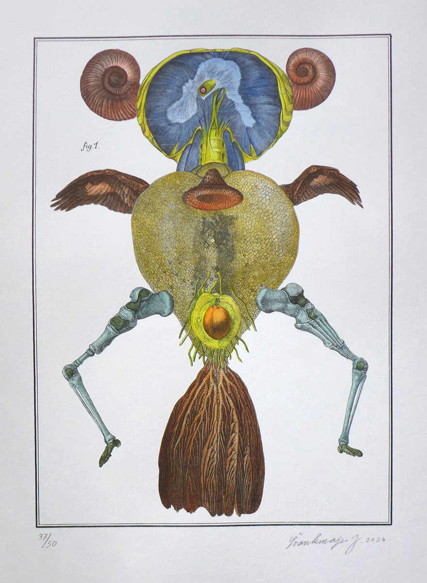 Jan Švankmajer (1934) - Zoologie č.14