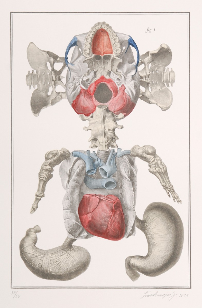 Jan Švankmajer (1934) - Nesoustavná anatomie