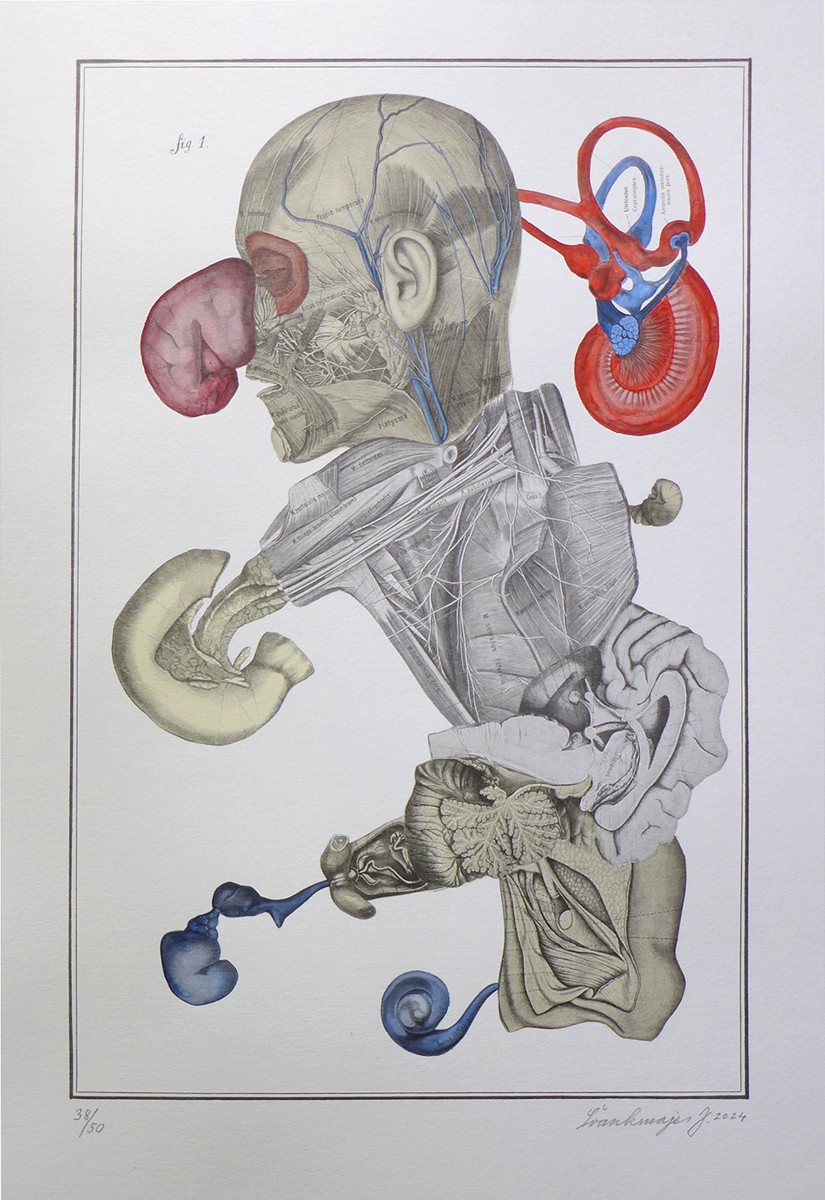 Jan Švankmajer (1934) - Nesoustavná anatomie