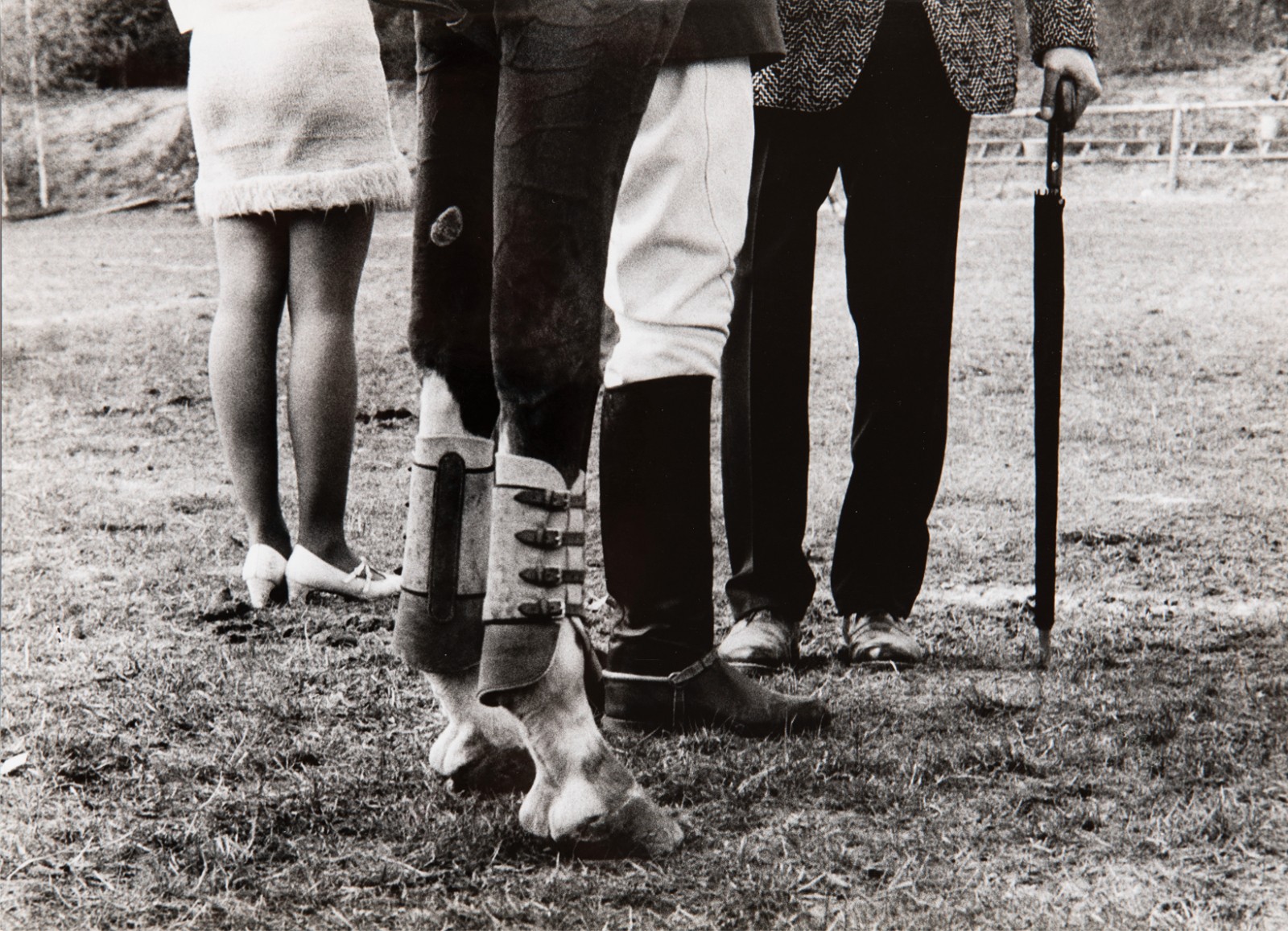 František Dostál (1938-2022) - Nedělní setkání