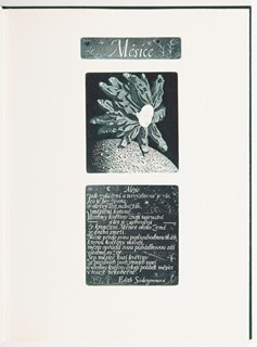 Jindřich Pileček (1944-2002) - Měsíce