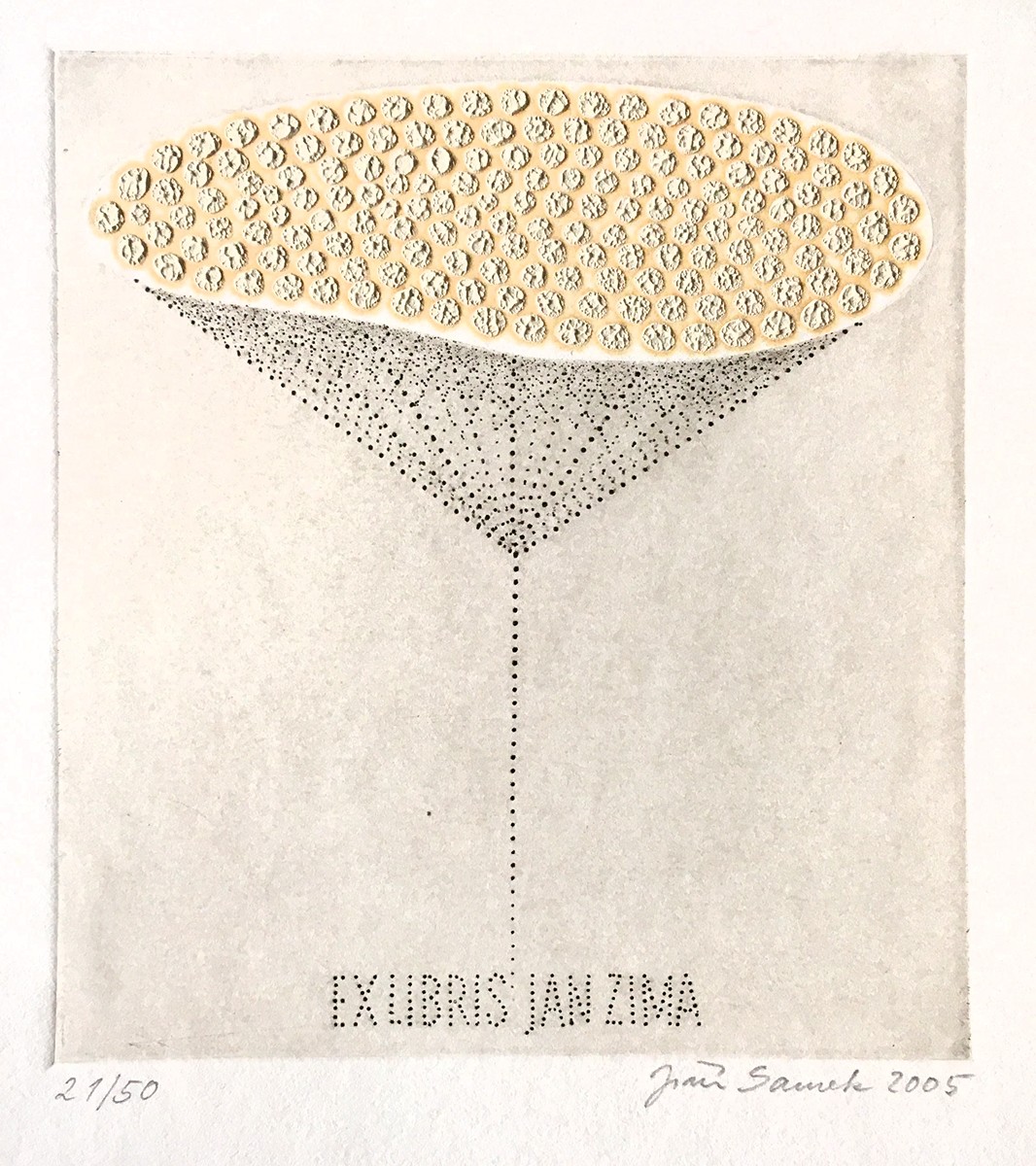 Jiří Samek  (1955) - White bloom