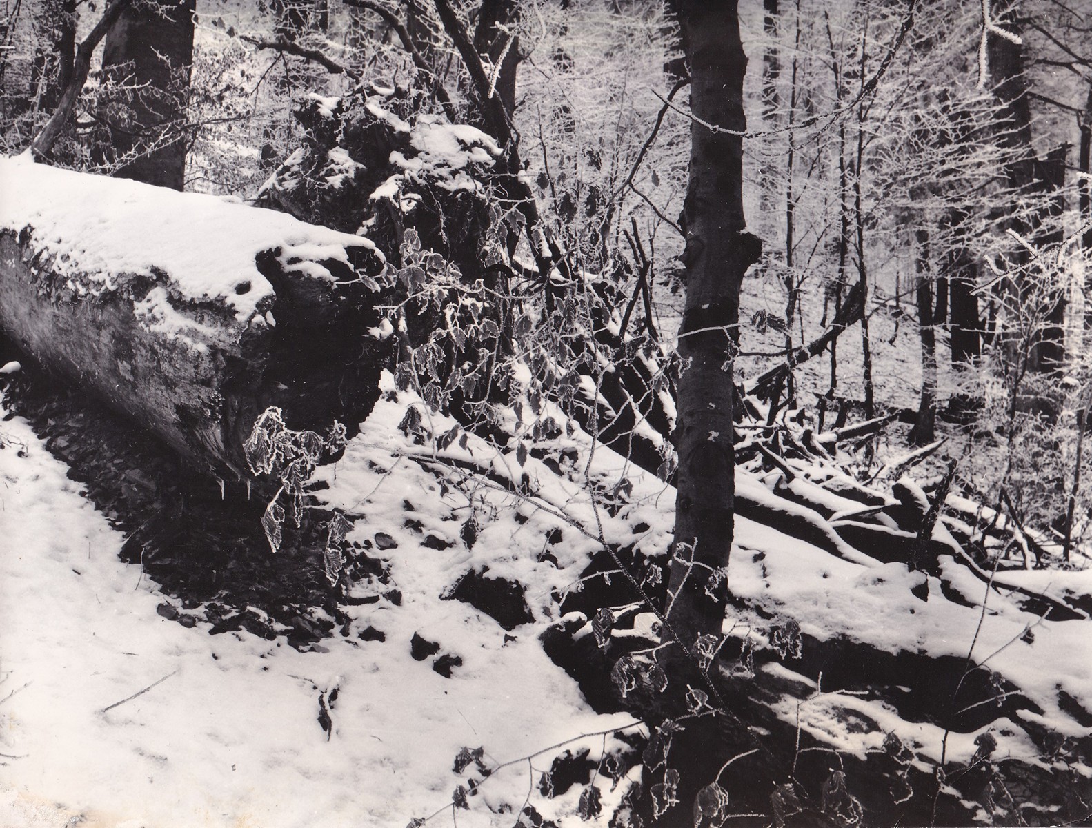 Rudolf Janda  (1907 - 2000) - 1. - 2. ledna